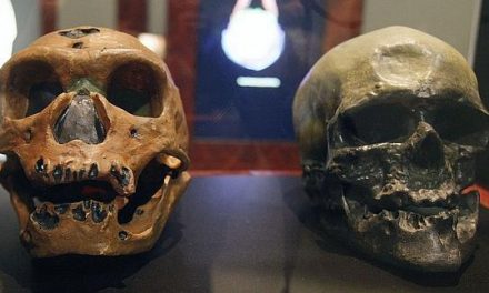 El tabaquismo y la depresión, posible herencia del ADN neandertal