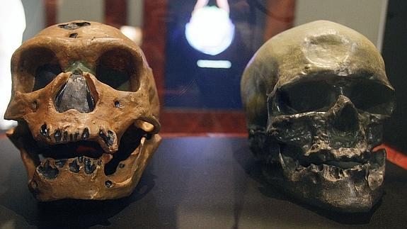 El tabaquismo y la depresión, posible herencia del ADN neandertal