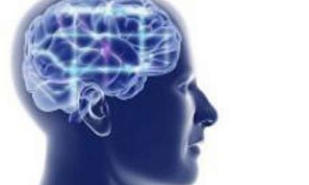 Un estudio explica lo que ocurre en el cerebro ante la abstinencia de cocaína