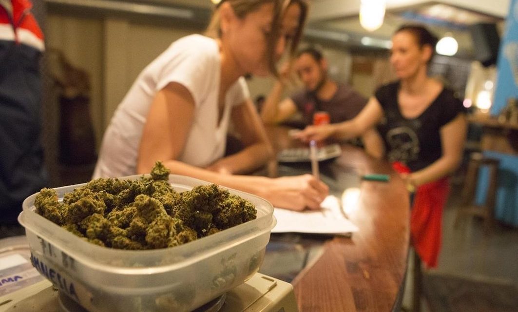 La mayoría de los jóvenes españoles apuestan por la legalización controlada del cannabis