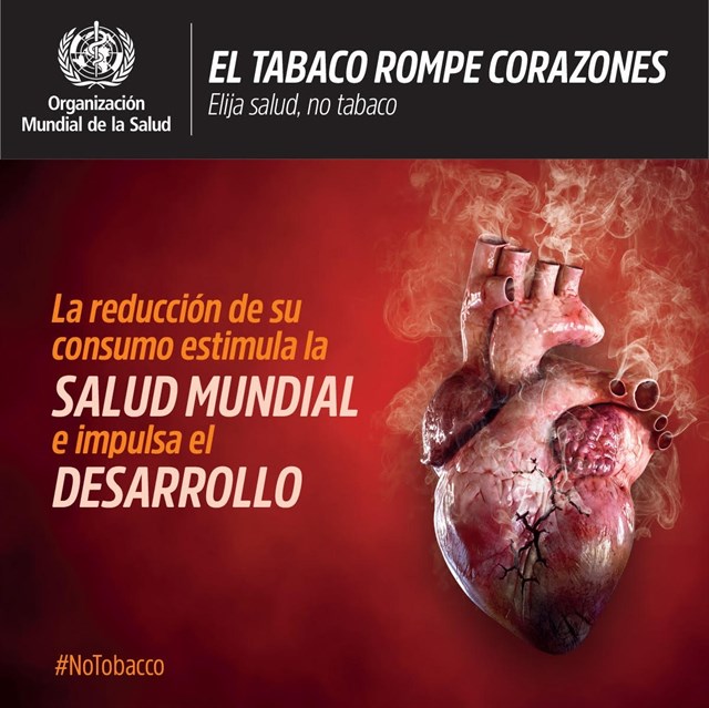 Cantabria: El Gobierno organiza actos de información y prevención por el Día Mundial Sin Tabaco