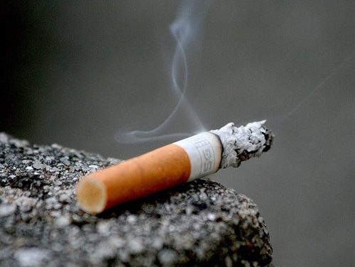 Investigadores españoles identifican cómo la nicotina ayuda a adelgazar