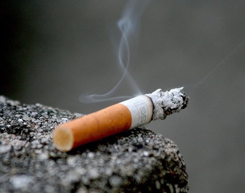 Investigadores españoles identifican cómo la nicotina ayuda a adelgazar