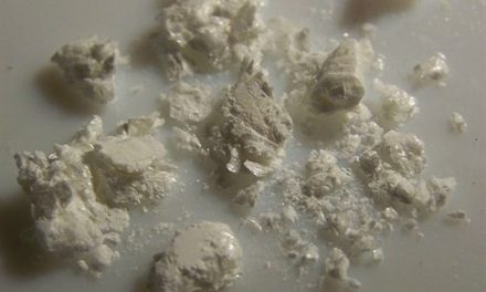 Científicos descifran cómo el cerebro «aprende» la adicción a la cocaína