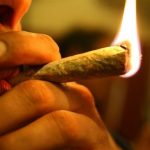 cannabis marihuana porro