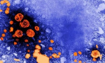 La OMS insta a adoptar de medidas «urgentes» ante la creciente epidemia de hepatitis
