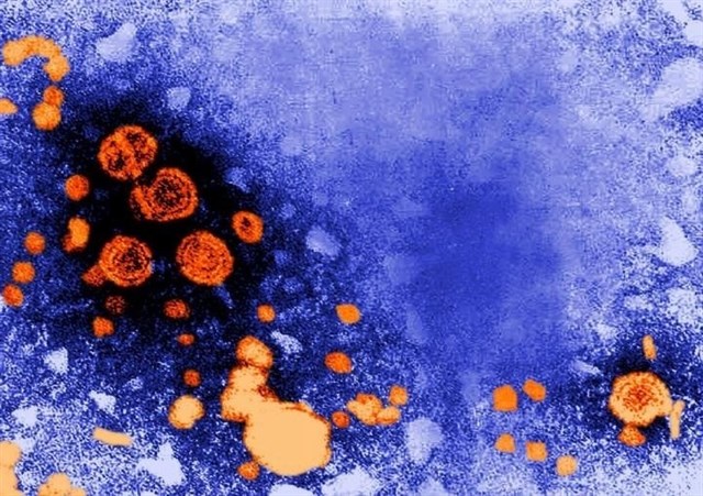 La OMS insta a adoptar de medidas «urgentes» ante la creciente epidemia de hepatitis