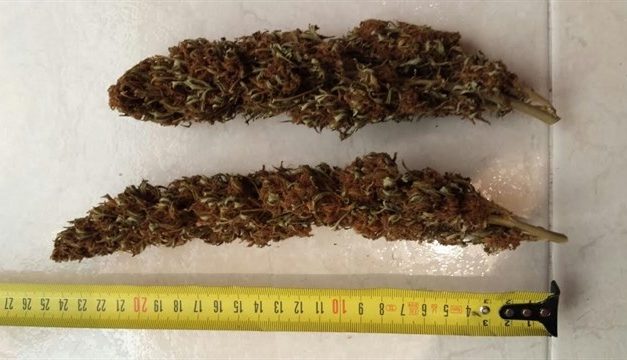Joven de 21 años y estudiante, perfil de consumidor de cannabis en lugares de ocio valencianos