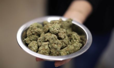 El cannabis como posible tratamiento para las adicciones: un enfoque prometedor