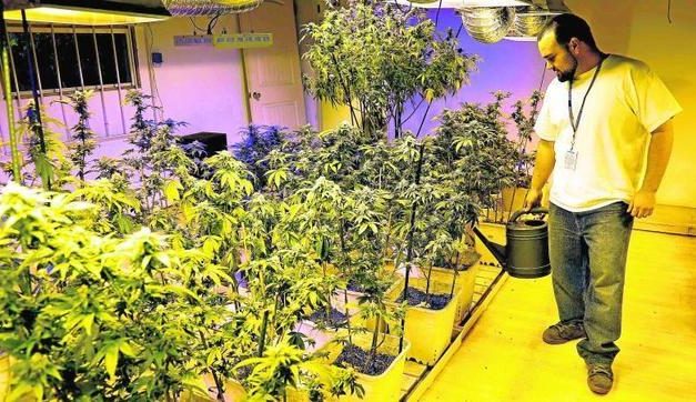 Nueva York aprueba el uso terapéutico de la marihuana