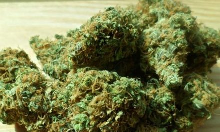 Así se dañan los vasos sanguíneos del fumador pasivo de marihuana