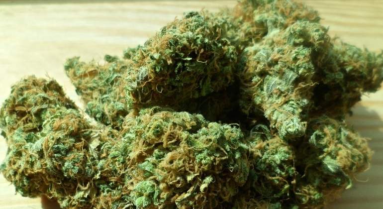 El coronavirus detiene el narcotráfico: almacenes llenos de marihuana pero vacíos de cocaína y heroína