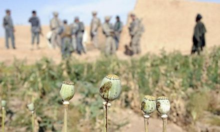 Prohibición del opio talibán: lo que depara el futuro