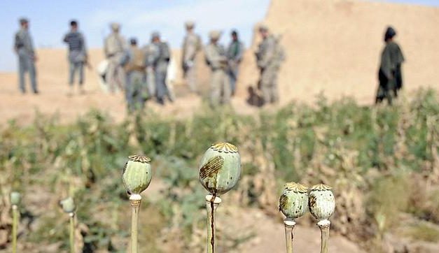 La prohibición del cultivo de la adormidera por parte de los talibanes provoca un debate en Ministerio del Interior del Reino Unido