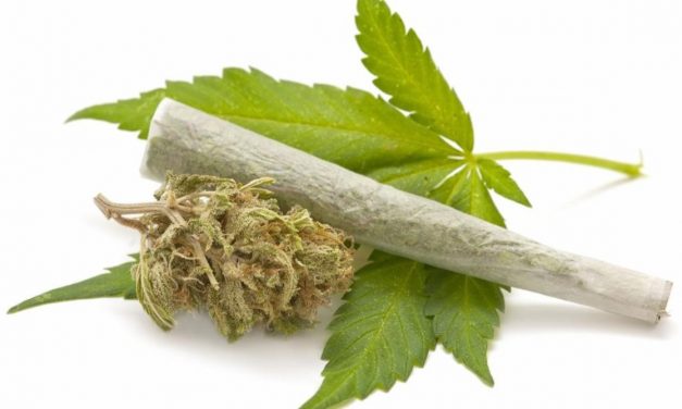 Descubren los orígenes del consumo de marihuana