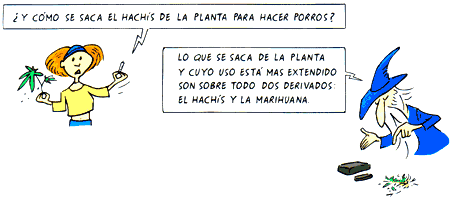 Guía Jóvenes - Déjame que te cuente algo sobre... los Porros