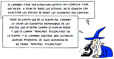 Guía Jóvenes - Déjame que te cuente algo sobre... los Porros