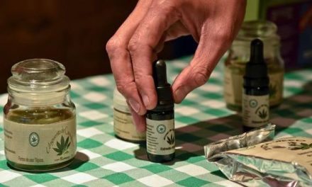 Argentina: Los farmacéuticos quieren vender la marihuana medicinal