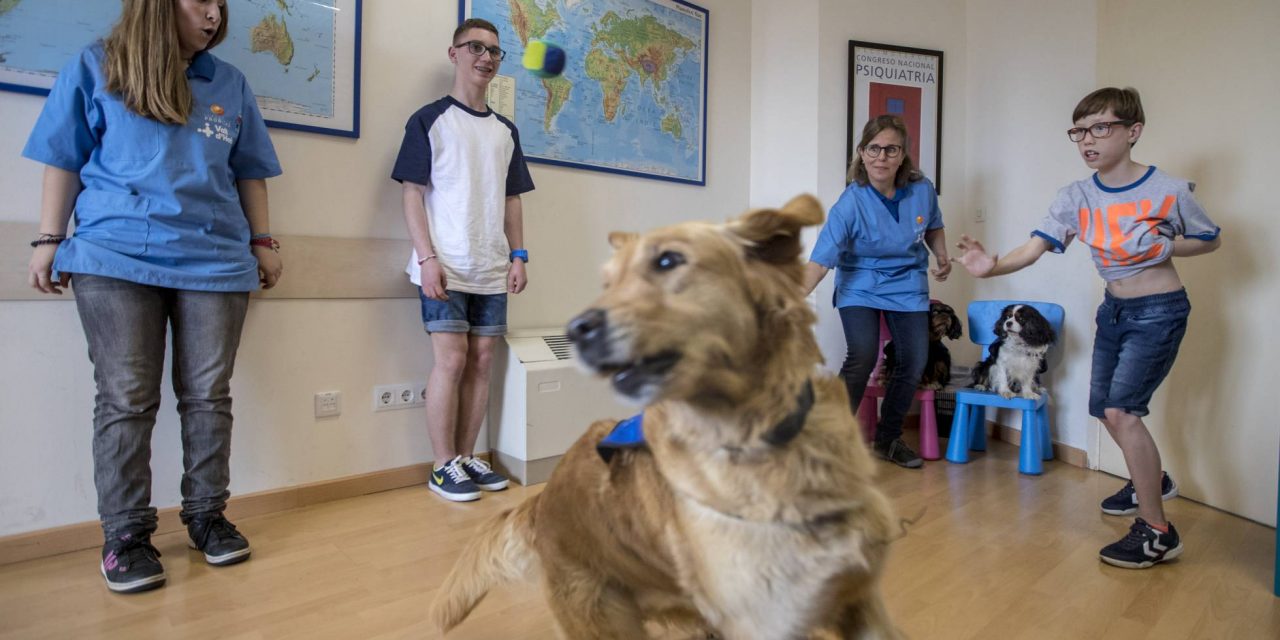 Vall d’Hebron prueba una terapia con perros para tratar el trastorno alcohólico fetal
