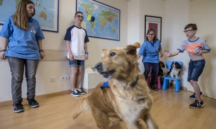 Vall d’Hebron prueba una terapia con perros para tratar el trastorno alcohólico fetal