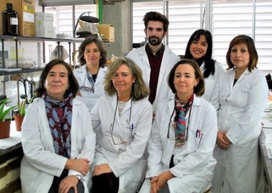 El aceite de semillas del cannabis tiene componentes beneficiosos para la salud