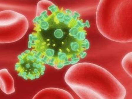 Descubren cómo bloquear la entrada del virus del sida en las células