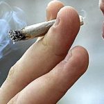 porro cannabis marihuana