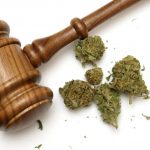 cannabis marihuana legal