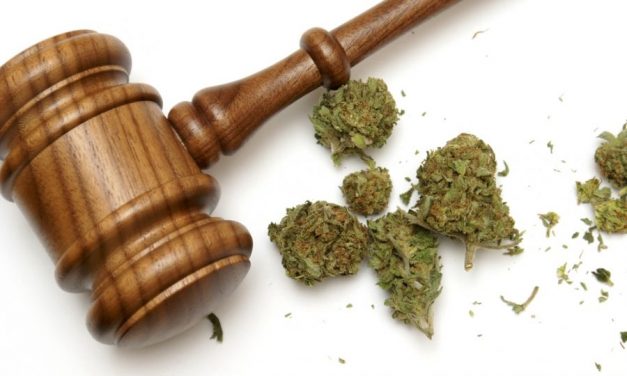 La legalización del cannabis: un experimento americano de consecuencias globales