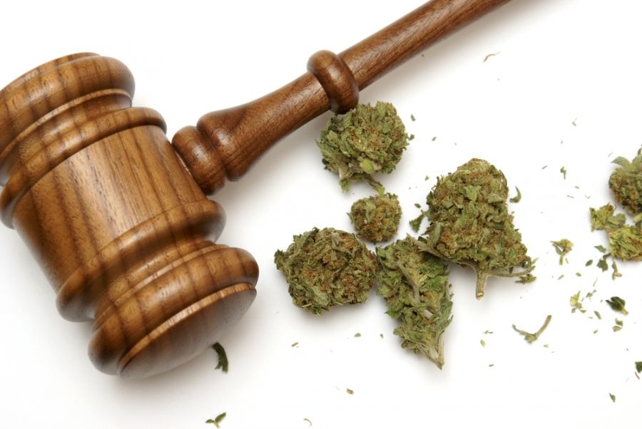 La legalización del cannabis: un experimento americano de consecuencias globales