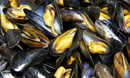 Hasta los mejillones de EE UU dan positivo en opiáceos