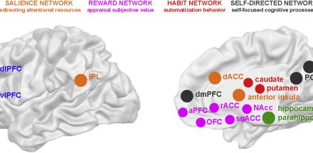 Comportamientos de adicción a las drogas, ligados a impedimentos específicos en seis redes cerebrales