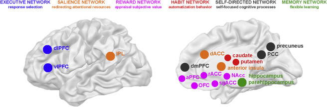 Comportamientos de adicción a las drogas, ligados a impedimentos específicos en seis redes cerebrales