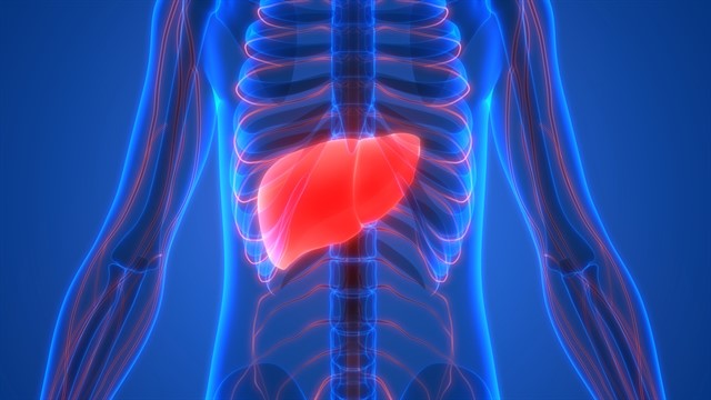 Hasta la mitad de los trasplantes de hígado por cáncer se deben al exceso de alcohol