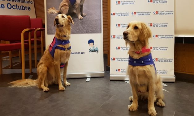 Un proyecto del Hospital 12 de Octubre demuestra los beneficios de la terapia con animales en pacientes con alcoholismo