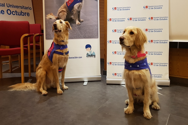 Un proyecto del Hospital 12 de Octubre demuestra los beneficios de la terapia con animales en pacientes con alcoholismo