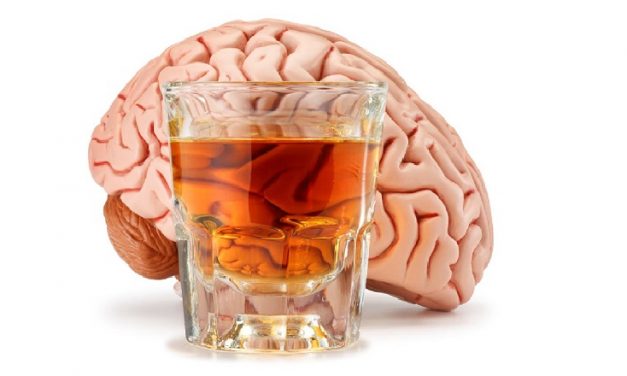 ¿Cómo cambia la adicción al alcohol a nuestro cerebro?