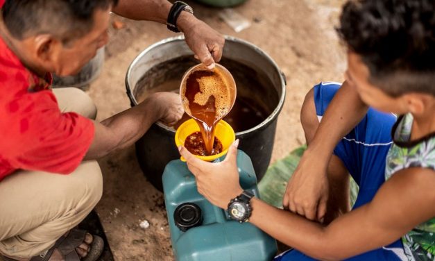 La ayahuasca mejora la salud mental en usuarios primerizos