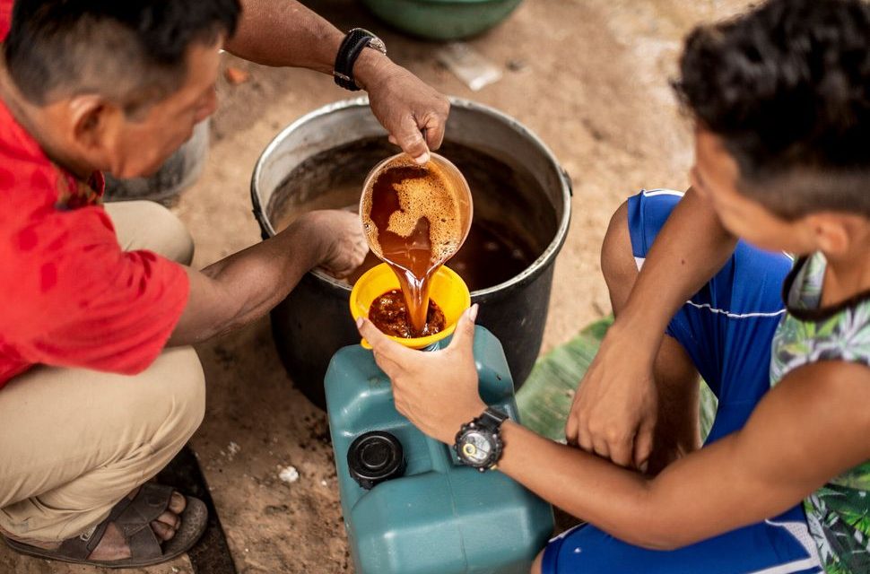 La ayahuasca mejora la salud mental en usuarios primerizos