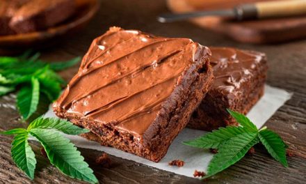 Los comestibles de cannabis presentan nuevos riesgos para la salud