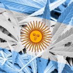 cannabis Argentina