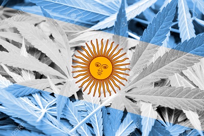 Argentina gasta 40 millones de dólares al año en perseguir a usuarios de drogas