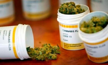 El Congreso pide crear una subcomisión para analizar experiencias de regulación del cannabis para uso medicinal