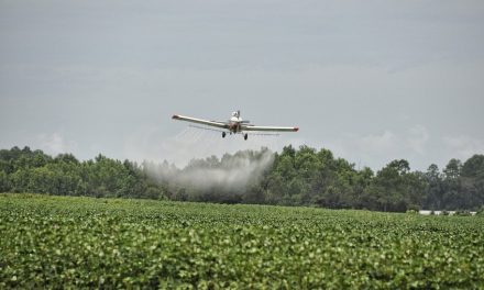 Vuelven a presentar proyecto de ley para prohibir el uso del glifosato en Colombia