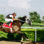 caballo