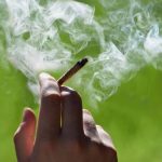 porro