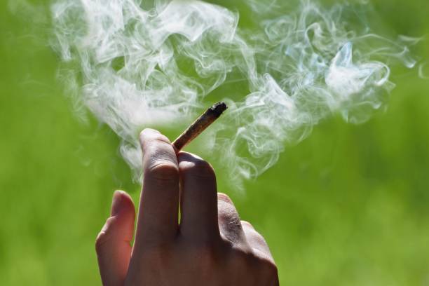 Un estudio refleja perjuicios importantes del cannabis en menores de 25, embarazadas y conductores