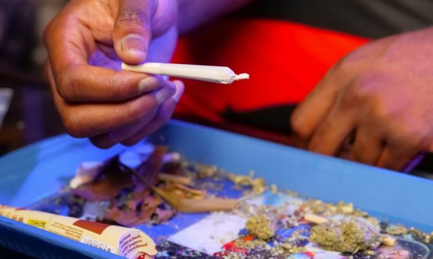 El Informe Mundial sobre las Drogas 2022 de UNODC destaca las tendencias del cannabis posterior a su legalización, el impacto ambiental de las drogas ilícitas y el consumo de drogas entre mujeres y personas jóvenes