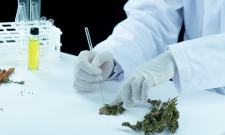 El cannabis y la cocaína son factores estresantes en el desarrollo de la esquizofrenia