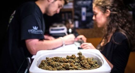 Una delegación internacional visita los clubes de cannabis de Barcelona: “Es un modelo exportable a todo el mundo”